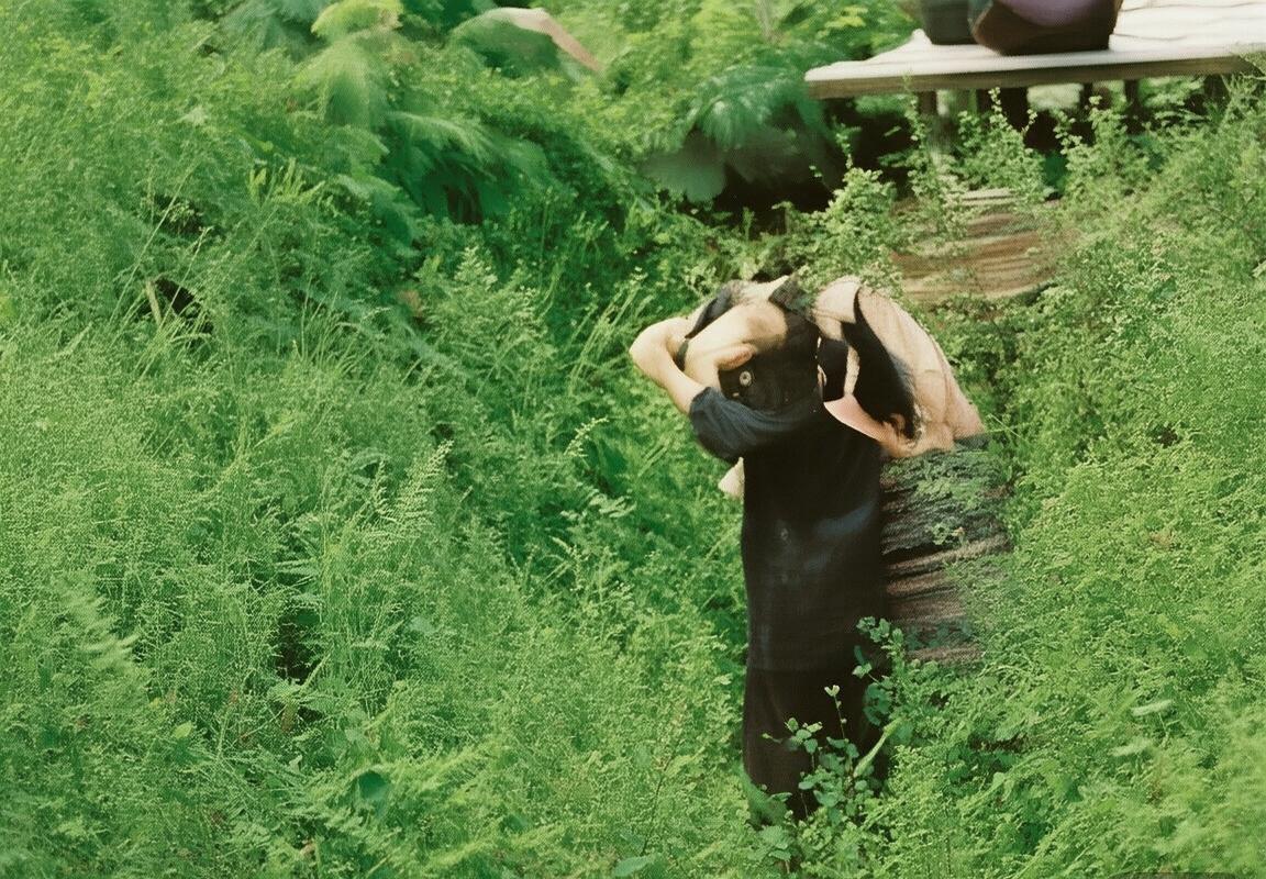 俄罗斯与沙特激情对决：足球魅力与国家荣耀的视觉交响